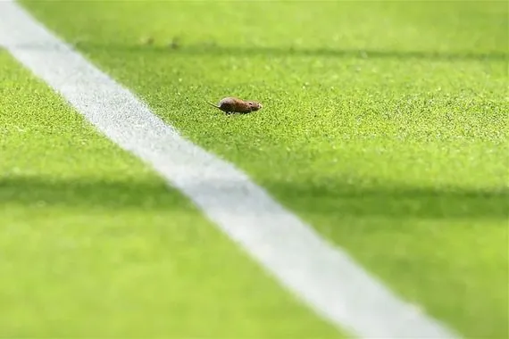 برشلونة في مرمى السخرية بسبب فأر