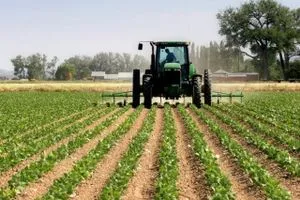 نائب يدعو لاعتماد الزراعة والصناعة كخيار إستراتيجي ويطالب بحماية المنتج المحلي