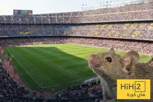صور الفئران تغزو كامب نو